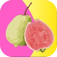 蜜桔直播app下载安装