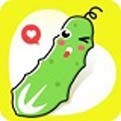 大地影视资源版下载